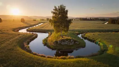 AI Video from prompt: A sweeping cinematic drone shot over endless gol