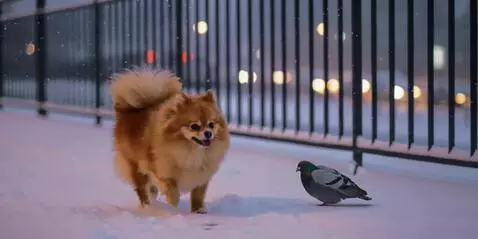 AI Video from prompt: Create a single 5-second video in 16:9 format. U