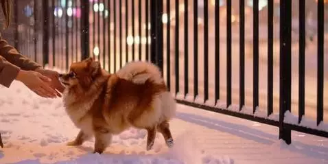 AI Video from prompt: Create a single 10-second video in 16:9 format. 