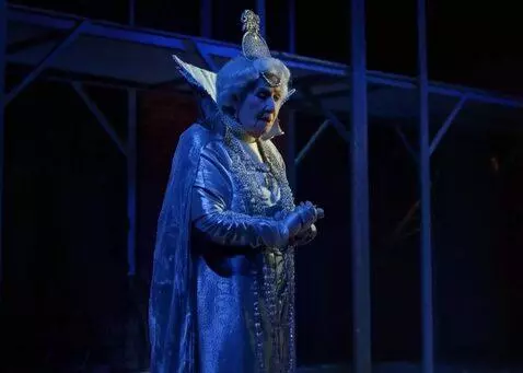 AI Video from prompt: An elderly eighty-year-old snow queen has a diam