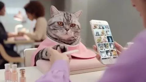 AI Video from prompt: The cat is sitting in a beauty salon. The girls 