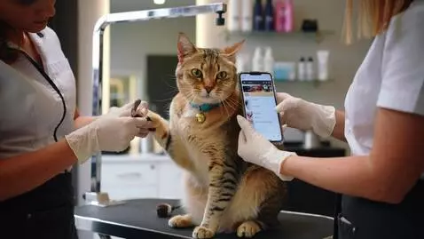 AI Video from prompt: The cat is sitting in a beauty salon. The girls 