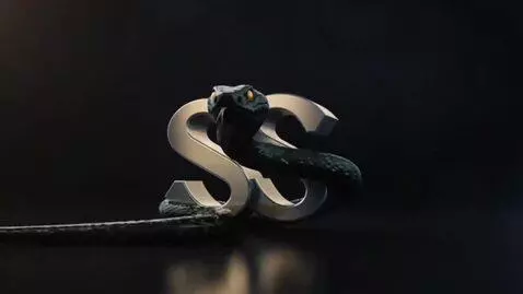 AI Video from prompt: video for the Snake Studio voiceover studio wher