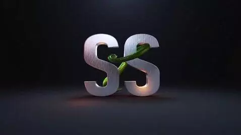 AI Video from prompt: video for the Snake Studio voiceover studio wher