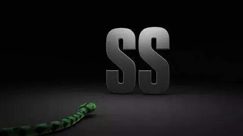 AI Video from prompt: video for the Snake Studio voiceover studio wher