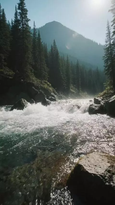 AI Video from prompt: Camera height: very low, near water level  Motio