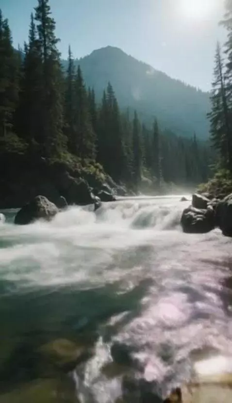 AI Video from prompt: Camera height: very low, near water level  Motio