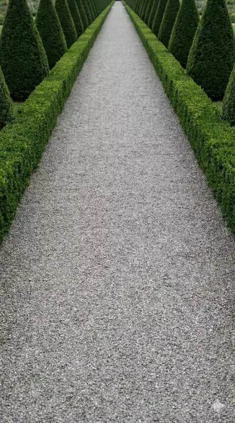 AI Video from prompt: Gentle wind blows through the gray plants. The m