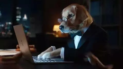 AI Video from prompt: Cinematic close-up of a sophisticated golden ret