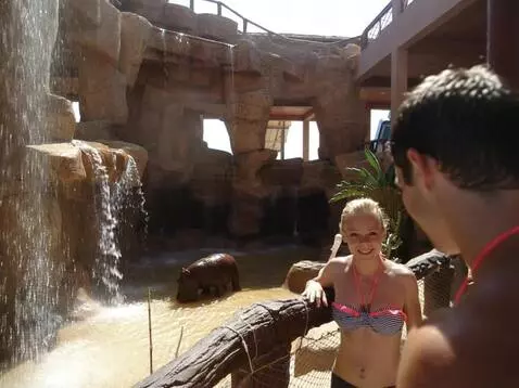 AI Video from prompt: The man lowers his hand and turns his back