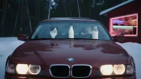 AI Video from prompt: cat on driving seat rotating steering wheel.