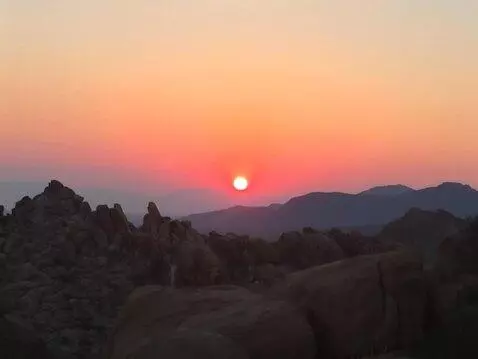 AI Video from prompt: The camera ascends to about 100 ft showing a wil