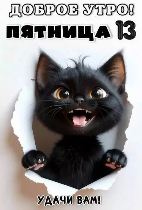 AI Video from prompt: The Cat laughs and waves its paw