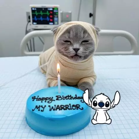 Kling 2.5 Turbo (pro) video