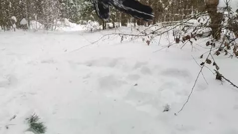 AI Video from prompt: Create a seamless continuation of the frame wher