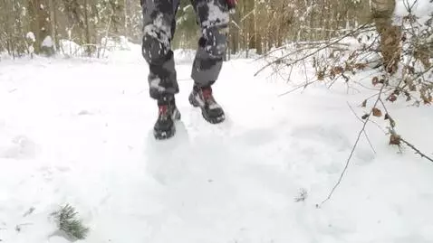 AI Video from prompt: Create a seamless continuation of the frame wher