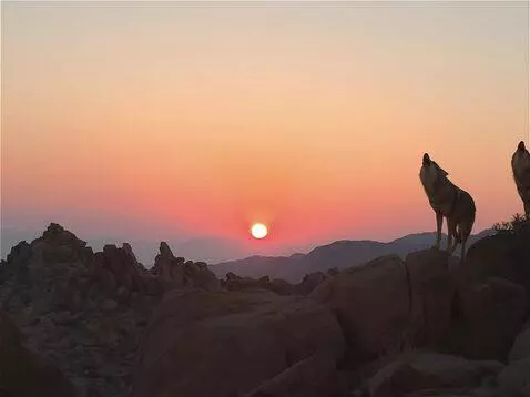 Wan 2.5 Preview video