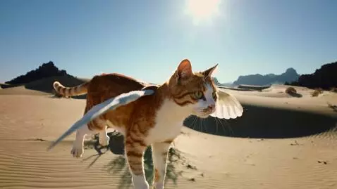 AI Video from prompt: a flying cat on a desert