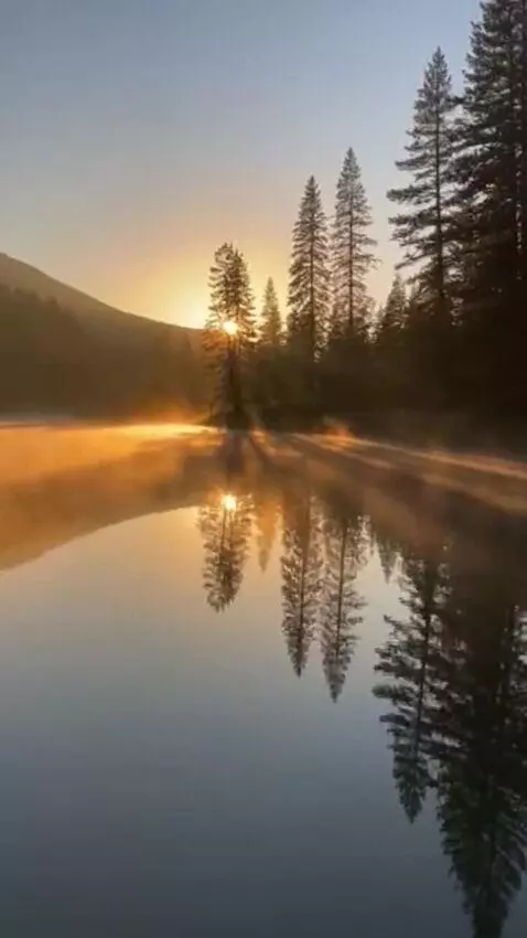 AI Video from prompt: A 15-second cinematic vertical 9:16 nature scene