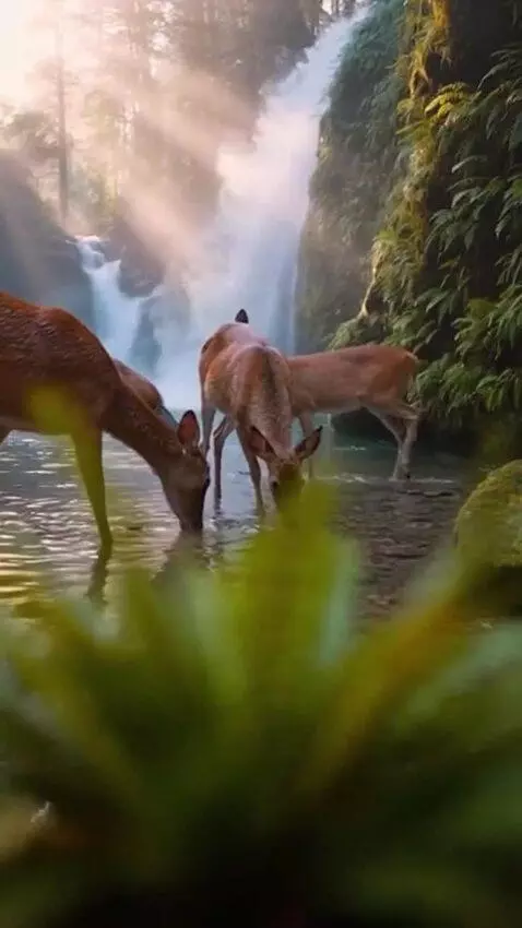 AI Video from prompt: True 4K UHD (3840×2160), 10-bit HDR, ultra-reali