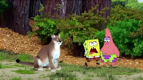 AI Video from prompt: Mountain Lion Hiss At Spongebob And Patrick Spon