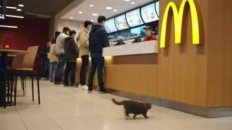 AI Video from prompt: cat run in macdonalds and speak give me burger