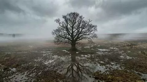 AI Video from prompt: Visual Action: Wide drone-style shot. A massive,