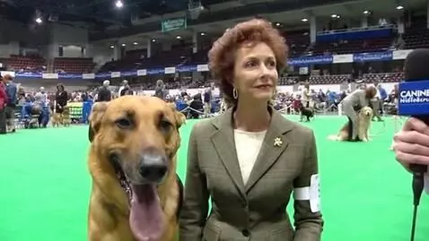 AI Video from prompt: make a clip similar to these scene from Best In 