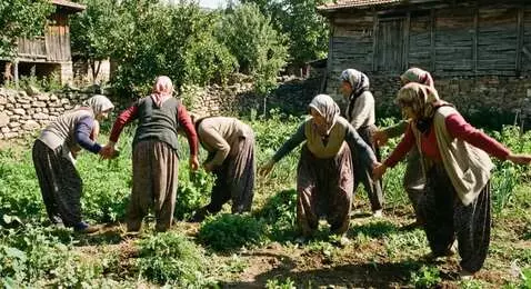 AI Video from prompt: womens dance