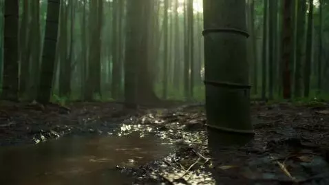 AI Video from prompt: Prompt: Close-up of bare monk feet in worn straw