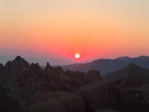 AI Video from prompt: The camera ascends to about 100 ft showing a wil