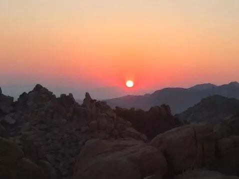 AI Video from prompt: The camera ascends to about 100 ft showing a wil