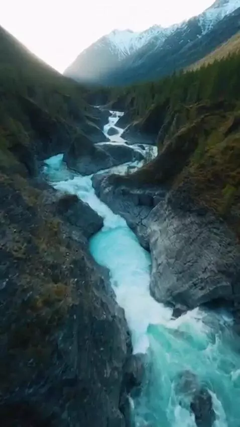 AI Video from prompt: Vertical video (9:16), 7 seconds, cinematic real