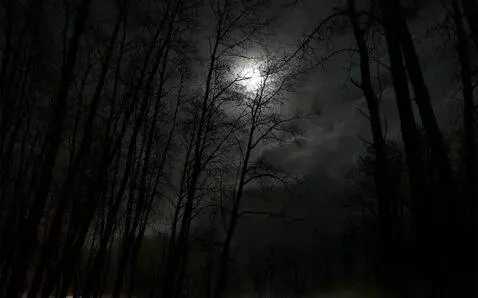 Kling 2.5 Turbo (pro) video