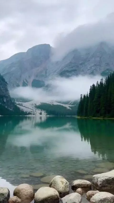 AI Video from prompt: a stunning lake under a foggy mountain with tree