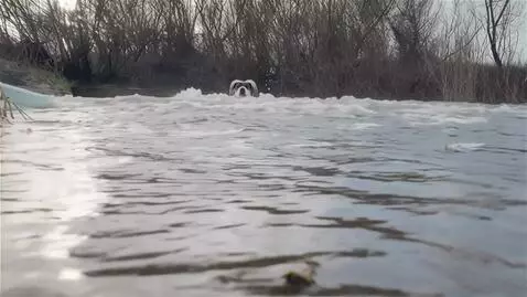 AI Video from prompt: the water is bubbling