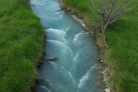 AI Video from prompt: Vertical video, 9:16 aspect ratio, 7 seconds dur