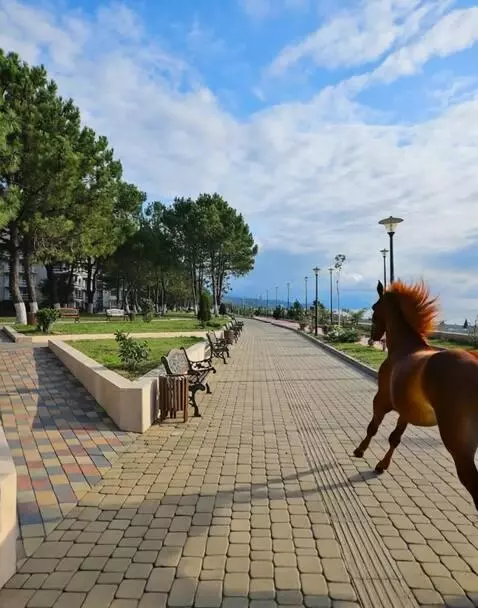 AI Video from prompt: Horses run along the path