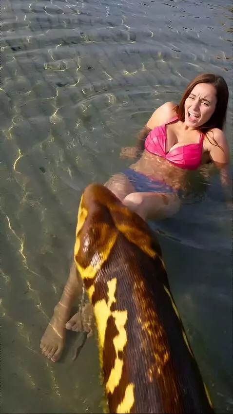 AI Video from prompt: A large anaconda swims up to the girl,  she jump