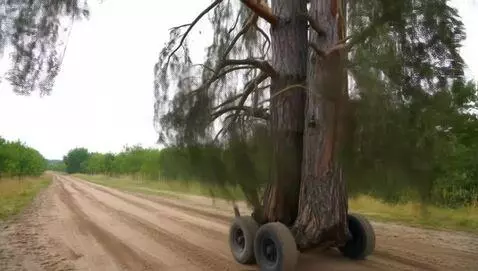 AI Video from prompt: Tree on wheels