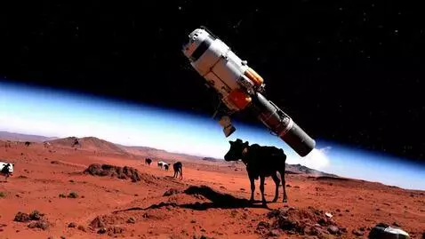 AI Video from prompt: Cows in Space"**
NASA accidentally launched cows