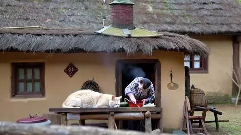 AI Video from prompt: A hut in the village. A tiny old brownie in an e