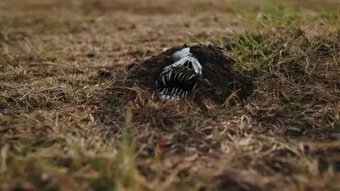 AI Video from prompt: A scary face emerges from the ground