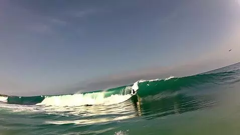 AI Video from prompt: Surfing waves with dollars flying across the sky