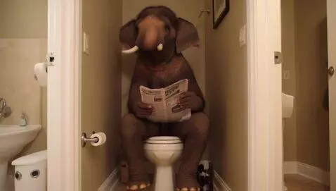 AI Video from prompt: Elephant reading a newspaper on a toilet in a ho