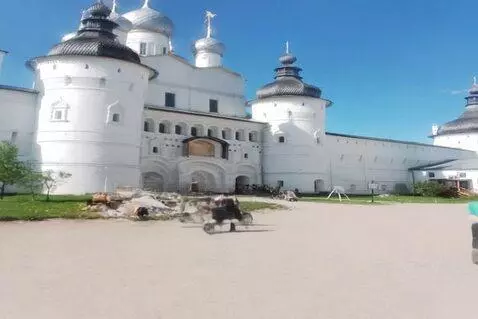 AI Video from prompt: Гуляет по лесу
