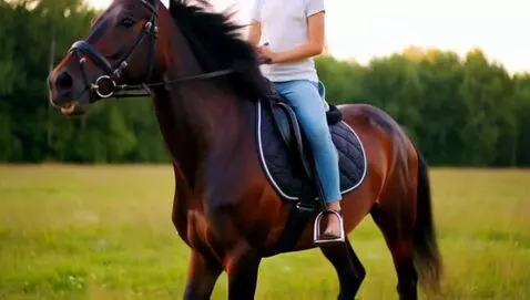 AI Video from prompt: Little girl ride a horse