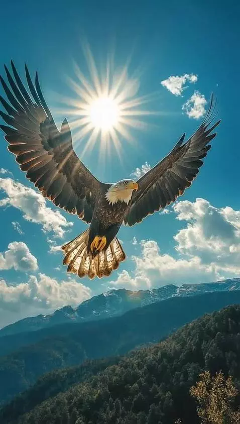 Luma Dream Machine Ray2 video