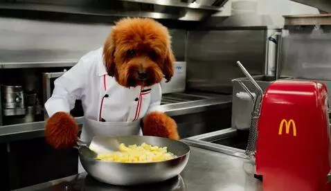 AI Video from prompt: "A fluffy red dog working in a McDonald's kitche