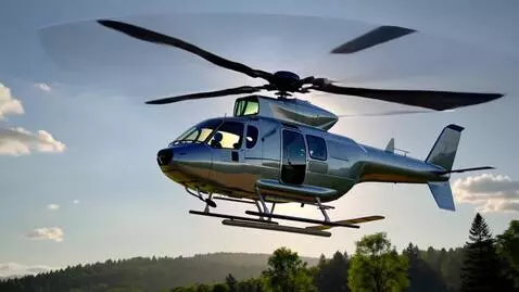 AI Video from prompt: A dog helicopter
